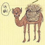 straw broke the camel back