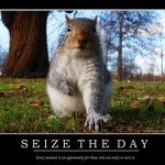 seize-the-squirelly-day