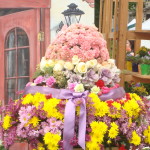 Great flower display at flower mart